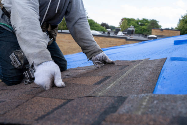 Best Chimney Flashing Repair  in Golden Gate, FL
