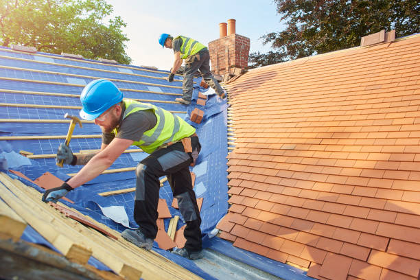 Best Roof Maintenance and Cleaning  in Golden Gate, FL